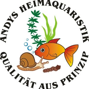 Sorge für neues Leben in Deinem Aquarium mit Aquariumschnecken